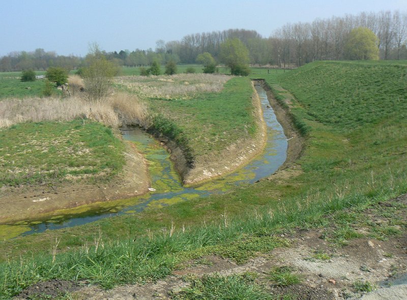 15_DF_68145 Kalkense Meersen.JPG